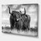 Designart - Longhaired Scottish Bull - Cottage Canvas Art Print